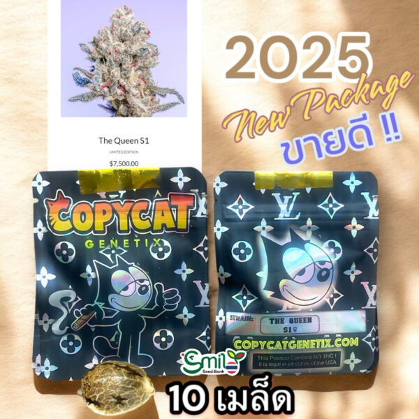 เมล็ดกัญชา The Queen S1(Fem) - Copycat Genetix