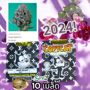 เมล็ดกัญชา Grape Splash S1 (Fem) Hybrid องุ่นหวานฉ่ำๆ 2024* - Copycat Genetix