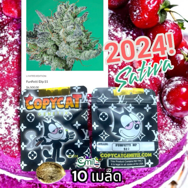 เมล็ดกัญชา Funfetti Dip (Fem) Sativa เบอรี่เค้ก 2024* - Copycat Genetix