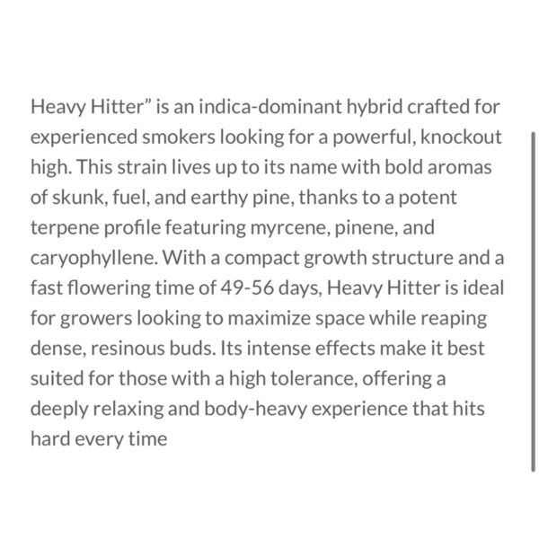 เมล็ดกัญชา Heavy Hitter S1 (Fem) อินดิก้าหนักๆ*- Copycat Genetix - Image 4