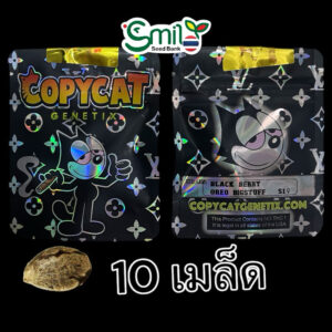 เมล็ดกัญชา Black Berry Oreo Big Stuff S1 (Fem) - Copycat Genetix