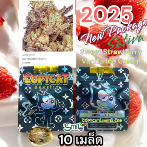 เมล็ดกัญชา GiGi’s SnowBerry Swirl S1 (Fem) Sativa ใหม่ล่าสุด 2024* - Copycat Genetix