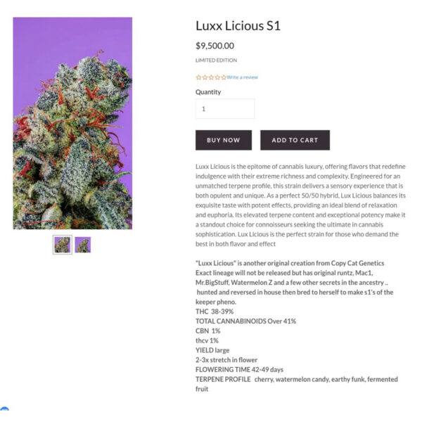 เมล็ดกัญชา Luxx Licious S1 (Fem) ใหม่ล่าสุด 2024* ฟรุตตี้ละมุน- Copycat Genetix - Image 4