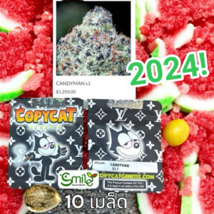 เมล็ดกัญชา Candyman S1 (Fem) - Copycat Genetix
