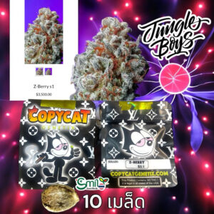 เมล็ดกัญชา Z - Berry S1 (Fem) Jungle Boys* - Copycat Genetix