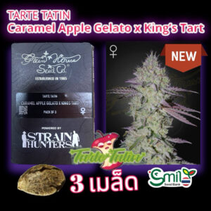 เมล็ดพันธุ์กัญชา Tart Tatin (Fem) - Green House Seeds.Co