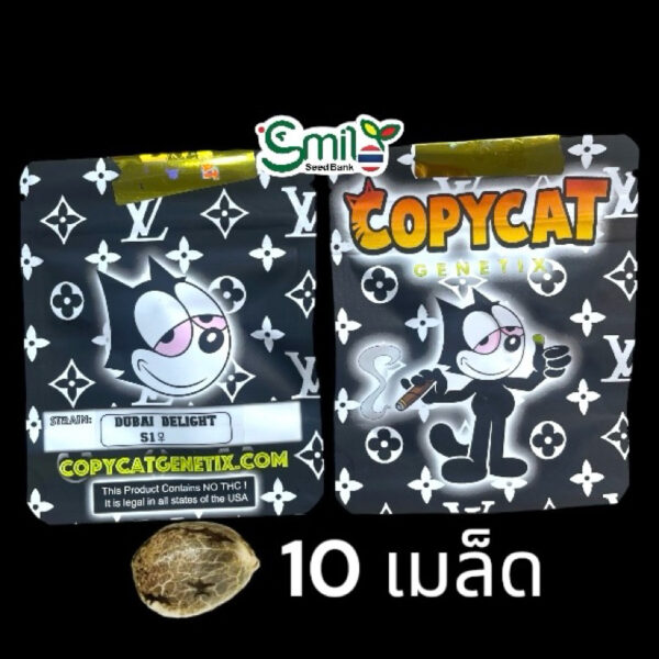 เมล็ดกัญชา Dubai Delight S1 (Fem) ใหม่ล่าสุด 2024* - Copycat Genetix