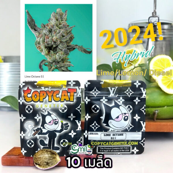 เมล็ดกัญชา Lime Octane S1(Fem) Hybrid มะนาว ดีเซล - Copycat Genetix