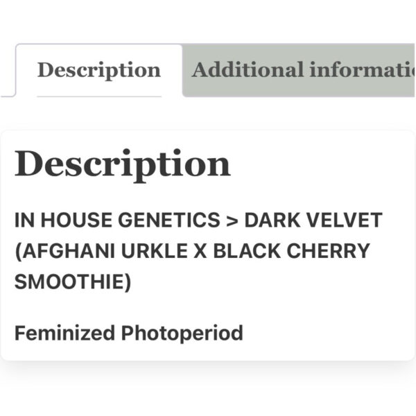 เมล็ดกัญชา Dark Velvet (Fem) 12/2024* ใหม่ - In House Genetics - Image 3