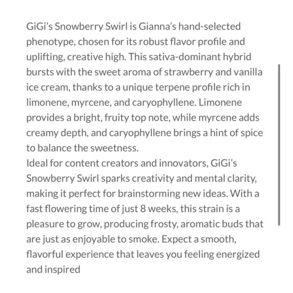 เมล็ดกัญชา GiGi’s SnowBerry Swirl S1 (Fem) Sativa ใหม่ล่าสุด 2024* - Copycat Genetix - Image 5