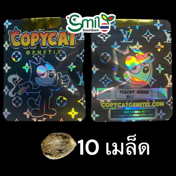 เมล็ดกัญชา Peachy Queen S1 (Fem) - Copycat Genetix - Image 2