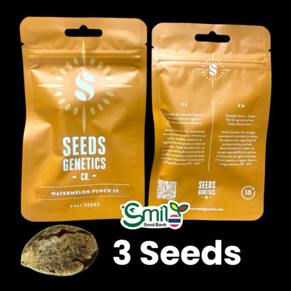เมล็ดกัญชา Watermelon Punch (Fem) - Seeds Genetics.Co - Image 8