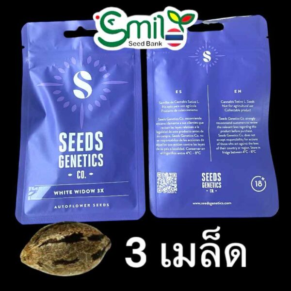 เมล็ดกัญชา White Widow (Auto) – Seeds Genetics.Co - Image 2